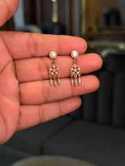 Lunar leaves silver earrings