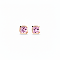 Rosette shine silver stud