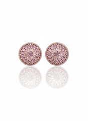 Monarch silver stud