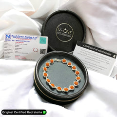 Silver Hexagon Rudraksha Bracelet
